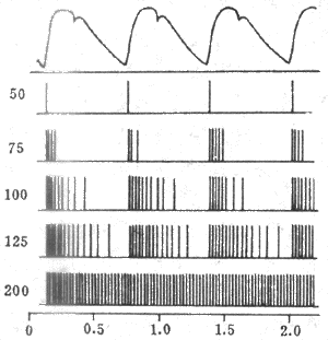 單根竇神經壓力感受器傳入纖維在不同動脈壓時的放電圖