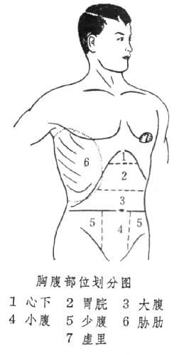 胸腹部位劃分圖