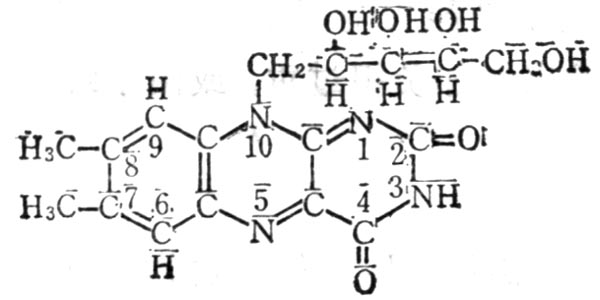 維生素B2結構式