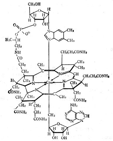 輔酶B12分子式