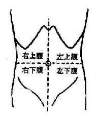 腹部體表分區示意圖（四區法）