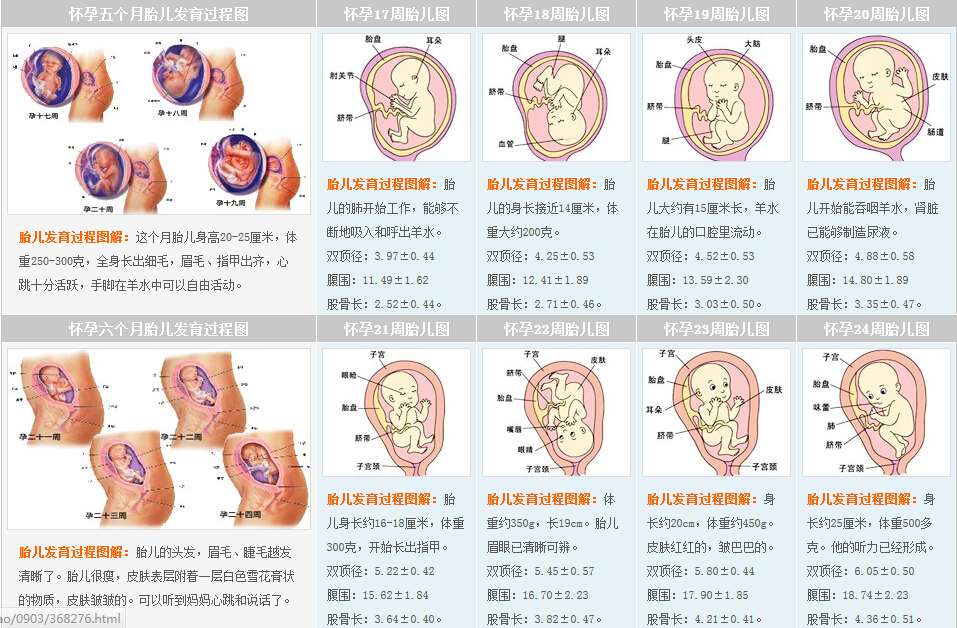 妊娠 A 醫學百科