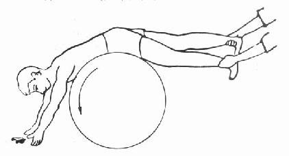 用大體操球的前方上肢防護性伸展反應的訓練