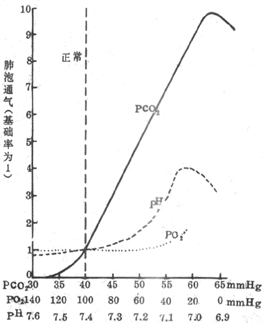动脉血液PCO2升高、PCO2降低、pH降低对肺泡通气率的影响
