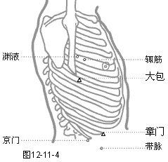 足少陽膽經穴