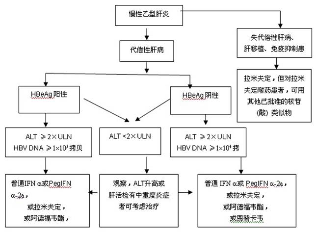 慢性乙型肝炎的抗病毒治疗流程图