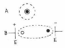 電介質原子無電場和有電場作用時的電荷分布