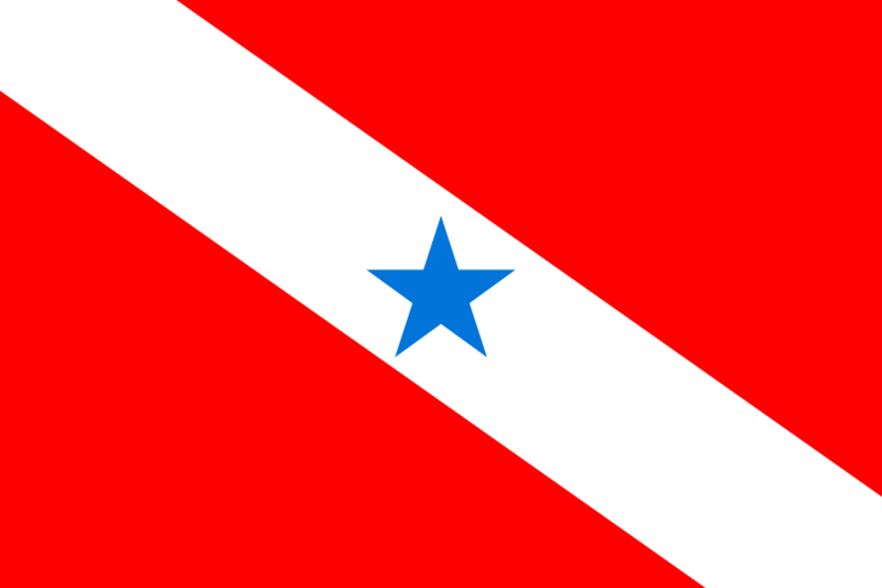 File:Bandeira do Pará.svg