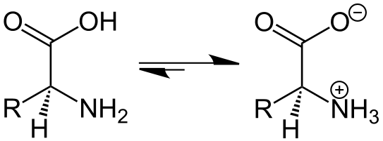 文件:Amino Acid Zwitterion Structural Formulae V.1.svg