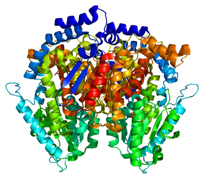 文件:Protein GPI PDB 1dqr.png