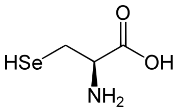 File:L-Selenocysteine.svg