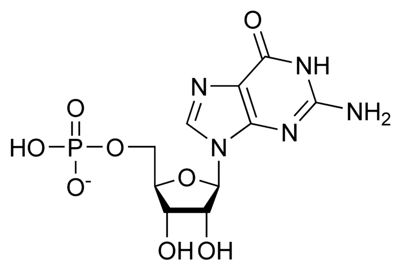 文件:GMP chemical structure.png