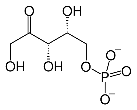 文件:Xylulose 5-phosphate.svg