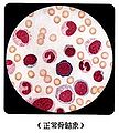 于2010年6月4日 (五) 16:02的缩图版本