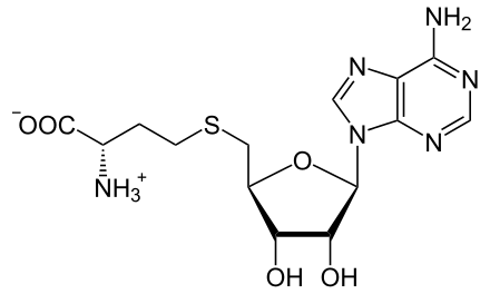 文件:S-Adenosyl-L-homocystein.svg