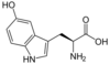 5-Hydroxy-L-Tryptophan (5-HTP).svg