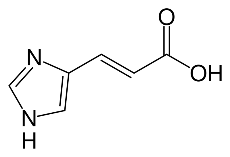 文件:Urocanic acid.svg