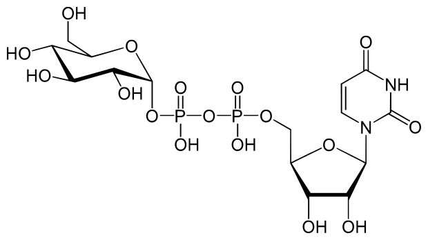 文件:UDP-Glucose.svg