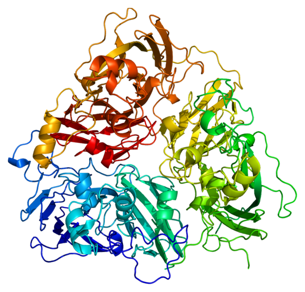 文件:Protein CP PDB 1kcw.png