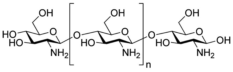 File:Bkl2e.jpg