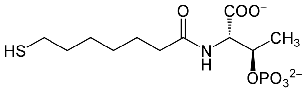 File:Coenzyme B (CoB).svg