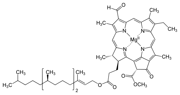 File:Chlorophyll d structure.svg