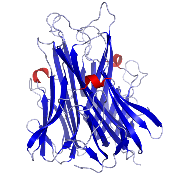 File:TNFa Crystal Structure.rsh.png