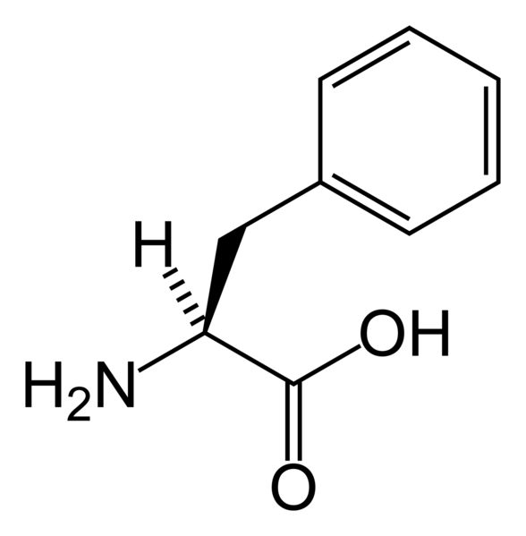 文件:L-phenylalanine-skeletal.png