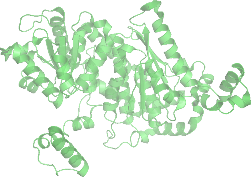 File:Glucose-6-phosphate isomerase 1GZV wpmp.png