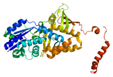 Protein ASS1 PDB 2nz2.png