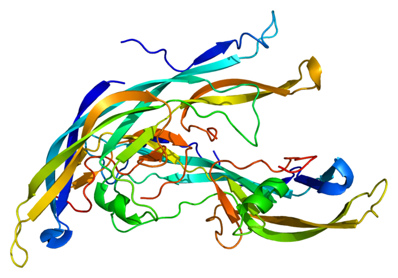 文件:Protein FSHB PDB 1fl7.png