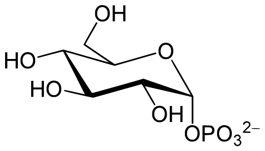 文件:Glucose 1-phosphate.svg