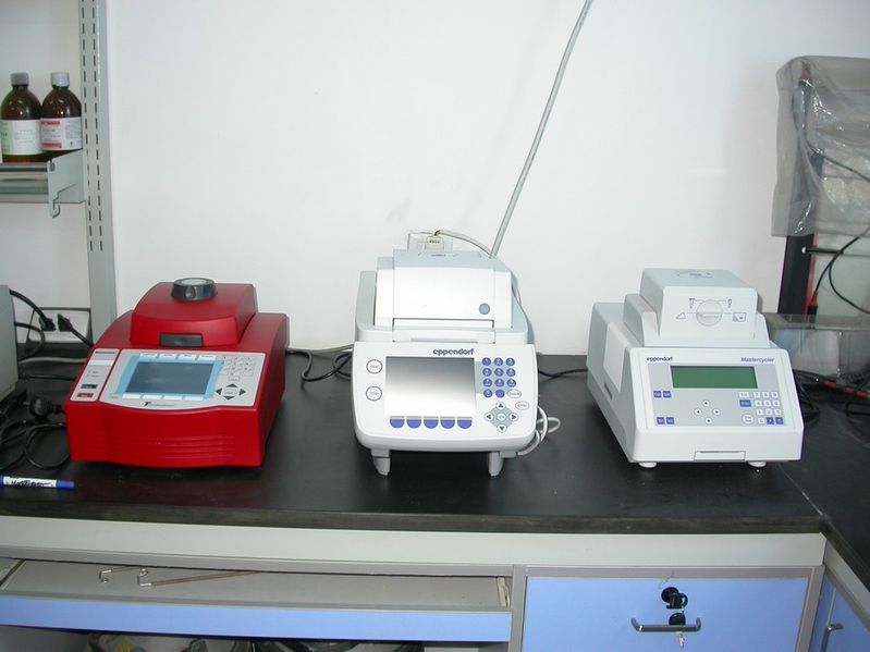 File:PCR仪器.jpg
