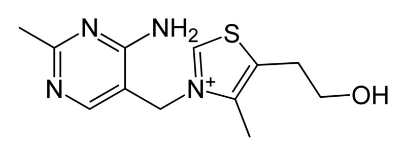 File:Thiamine-2D-skeletal.png