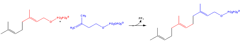 File:Cholesterol-Synthesis-Reaction9.png