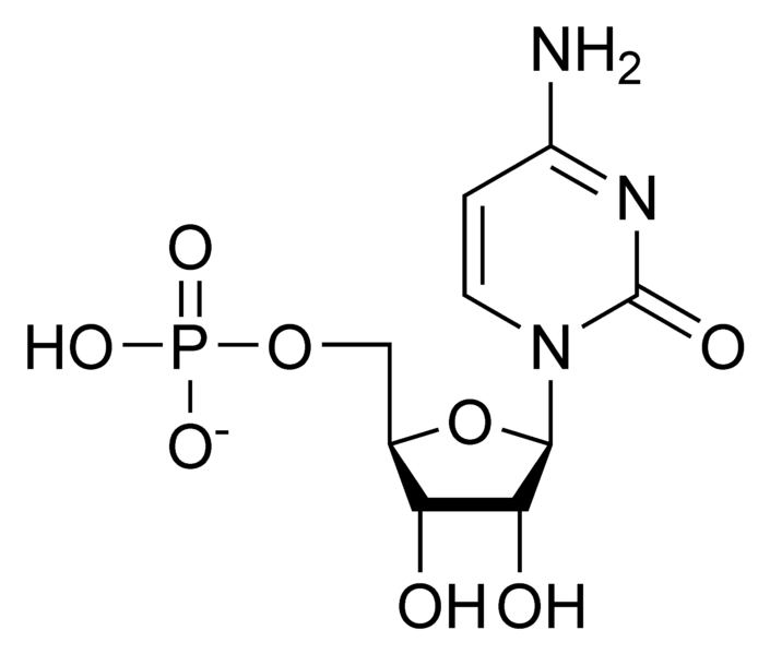 文件:CMP chemical structure.png