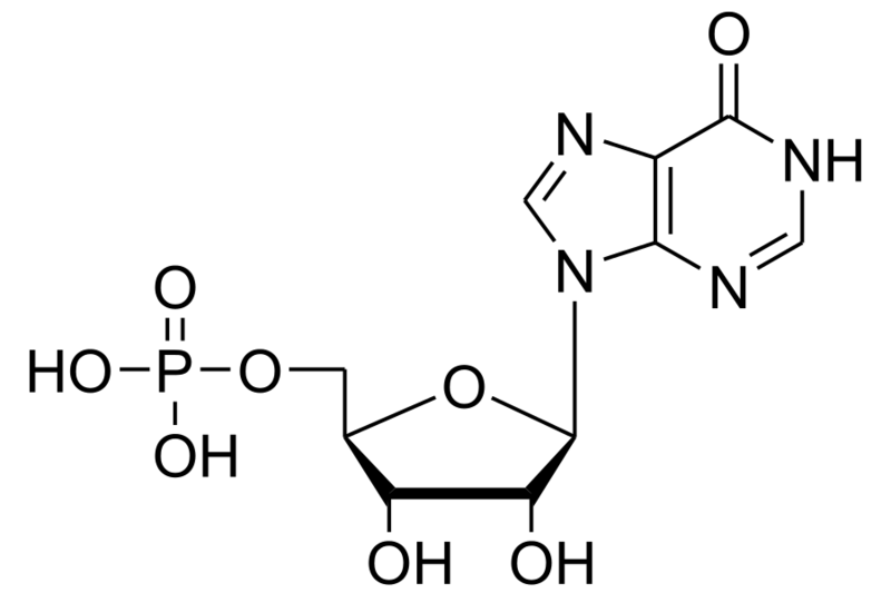 文件:Inosinic acid structure.svg