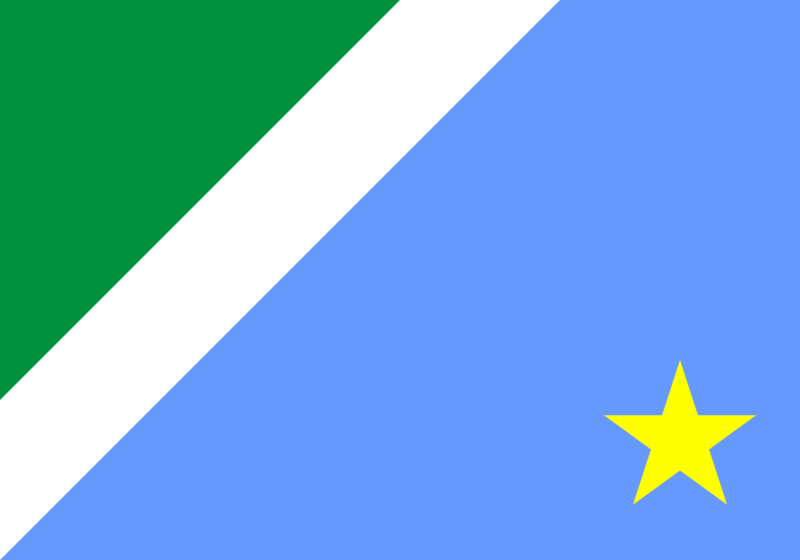 文件:Bandeira de Mato Grosso do Sul.svg