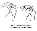 於2010年6月4日 (五) 16:07的縮圖版本