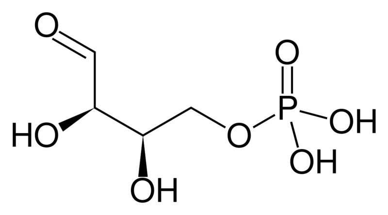 文件:Erythrose 4-phosphate.svg