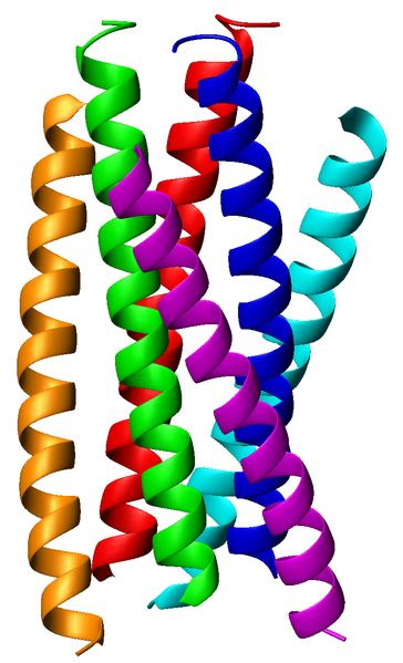 File:Gp41 coiled coil hexamer 1aik sideview.png
