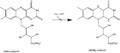 于2014年8月24日 (日) 12:29的缩图版本