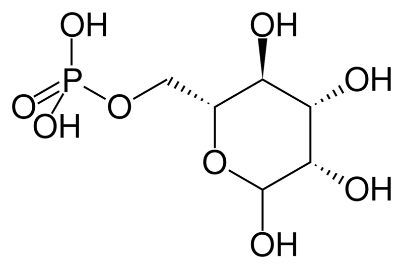 文件:Mannose-6-phosphate.svg
