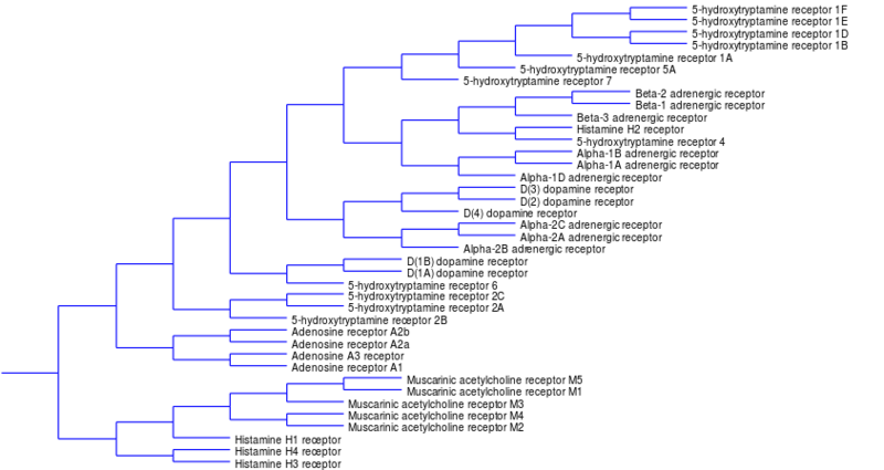 文件:Monoamine receptor tree.svg