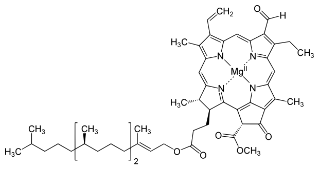 File:Chlorophyll b structure.svg
