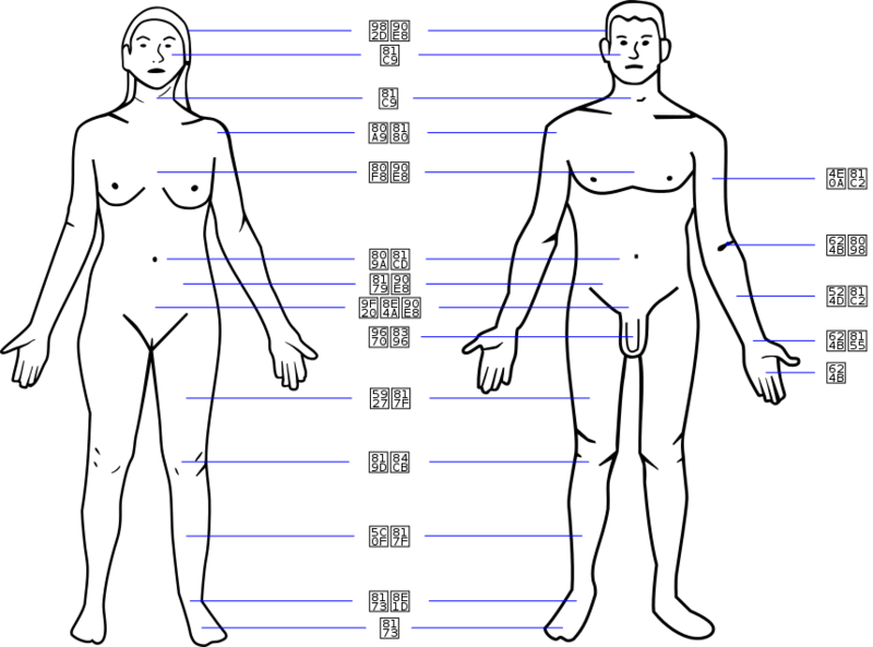 文件:Human body features-ka.svg