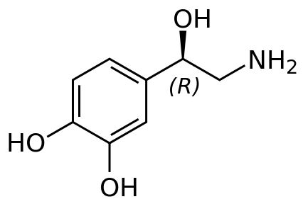 文件:Norepinephrine structure with descriptor.svg