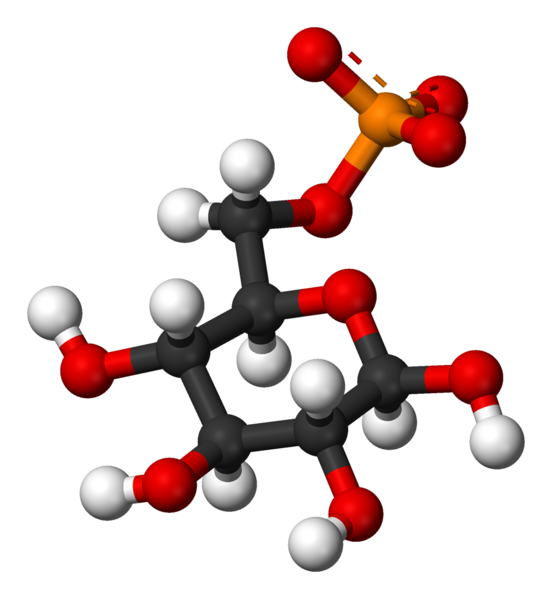 File:Beta-D-glucose-6-phosphate-3D-balls.png