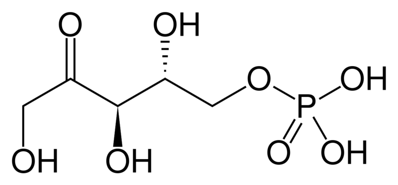 文件:Ribulose 5-phosphate.svg