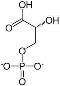 文件:3-phospho-D-glycerate.svg